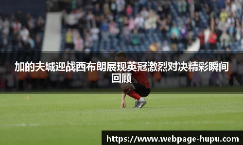 加的夫城迎战西布朗展现英冠激烈对决精彩瞬间回顾
