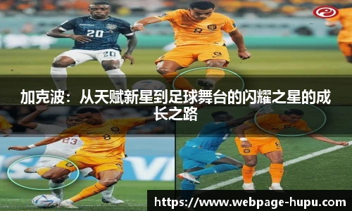 虎扑体育